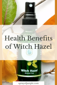 Health Benefits of Witch Hazel